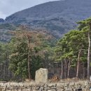 영신목장 이미지