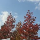 덕산키즈어린이집 이미지