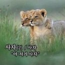 호두나무캠핑장 이미지