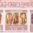 살리고 이미지
