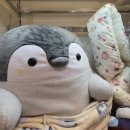 별 인형 뽑기샵 이미지