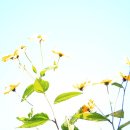 팔현1리 이미지