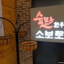 숯탄소보로 이미지