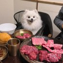 올림픽파크동부센트레빌 상가 | 송파 애견동반가능 룸식당 선수촌가든 올림픽공원본점 가족모임장소 추천