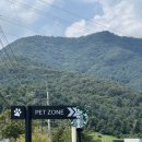 펫존&견생컷 | 애견동반 가능한 스타벅스 더북한강R점 솔직 후기