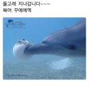 더그미 이미지