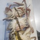 대길횟집 - 강릉시 해안로 1819 | 대길횟집