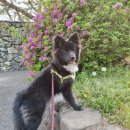 멍바라기 이미지