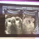 태산2차(아) 이미지