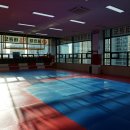 용인대다옴태권도장 이미지