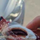 GS25 진주신평공원 이미지