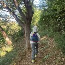 아이랑어린이집 | 여수 아이랑 등산코스 가을 산행 추천 고락산
