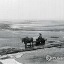 명지 엘크루블루오션(C2) 이미지