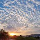 순천만국가정원 국가정원식물원 화장실 이미지