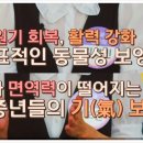 지리산흑염소 이미지