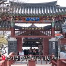 남이섬설1 | 남이섬 입장권 할인 티켓 예매 가격은? 나미섬 나미나라공화국 예약 들어가는법