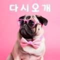 다시오개 이미지