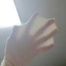 오피피스토어