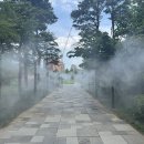중구, 손기정·서소문공원 폭염저감시설 확충... 공원 내 쿨링포그 총 9곳으로 이미지
