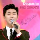 데스파시토 이미지