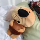 해피인터내셔널주