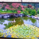 안골동산정원 네이버블로그