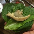도량곰장어전문