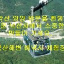 전진항낚시터