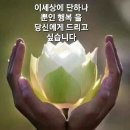 소중한 당신에게 이미지