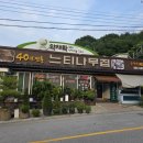 흰바위한식고을 | 제천 청풍호 맛집 느티나무횟집 송어회 추천 후기