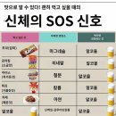 신체 이미지