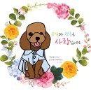삼보서점 이미지