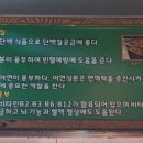 양공방양꼬치 이미지