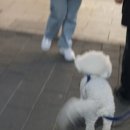 예담포차