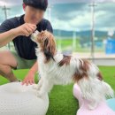 경기도 양평군 양평유치원 이미지