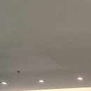 센텀내과의원 이미지