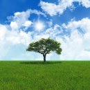 경산제일안과 이미지