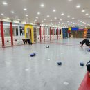 경희대 창덕 태권도 이미지