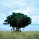 국립제주박물관 이미지