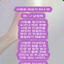 사랑은 바보가 되나 봐 이미지