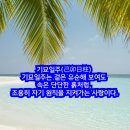 신광상사 | [오늘의 사주 명리학] 기묘일주(己卯日柱) 겉은 유순해 보여도 속은 단단한 흙처럼, 조용히 자기 원칙을...