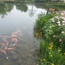 서운동산펜션 이미지