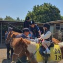 천금목장 이미지