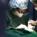 승원치과의원 이미지