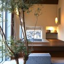 주 스테이 이미지