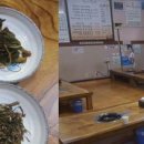 성순이 묵은지 이미지