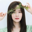 LHA스포츠