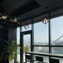 [강남] 강남역대형카페 셀렉티드닉스 강남역루프탑 강남루프탑대형카페 티라미수 맛집