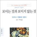 공간의 발견, 보이지 않는 것을 보다 ― 메를로-퐁티의 &#39;보이는 것과 보이지 않는 것&#39;을 위한 두 번째 시론 이미지