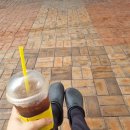 인하대학교 교직원식당 | 영양사 현장실습 후기